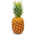 Ananas KG